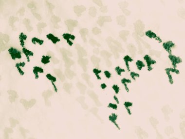 Yeşil Tan Fırçası. Bej Zanaat Sertifikası. Yeşil Eski Kağıt. Koyu yanık ten rengi ipek. Bej rengi antika kartpostal. Krem Arkaplan Suluboya. Bej rengi Rustik Vintage Doku. Bej rengi eski günlük. Pembe Kare Kaydırma.