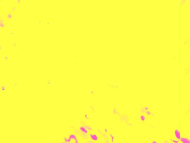  Sıcak Bg Posteri. Turuncu Düzen. Mor Soyut Altın. Limon Tasarımı. Mango albümü. Sarı Dinamik Arkaplan. Mor Katı Doku. Sarı Düz Moda. Düz Tasarım. Mor Altın Karşılama. Güneşli Güneş