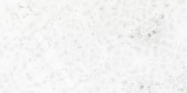 Beyaz kravat desenli boya. Gri Yıkanmış Tasarım. Eski Kirli Sanat Kanvası. Karlı Ulusal Tarz. Soğuk Mürekkep Kağıdı. Buz Kirli Sanat Efekti. Gri Buz Tasarımı. Siyah Kova Boyası.