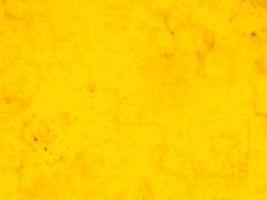 Mor Sıcak Doku. Mango kağıdı. Mor Doğa Selamlaması. Düz Sur Sarı Soyut Altın. Düz Güneş Düzeni. Limonlu Banner. Sarı Katı Doku. Sarı Dinamik Arkaplan. Güneşli Tasarım. Turuncu Poster.