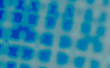 Sea Tie Boya Sanatı. Aquarelle dokusu. Kirli Arkaplan. Yaz suluboya boya fırçası. Bulut pürüzlü sanat baskısı. Grunge Fırçalanmış İpek. Görüntü Fırçalı Malzeme. Yaz Graffiti Tarzı.