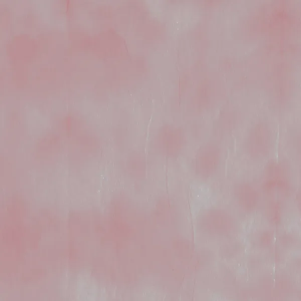 玫瑰领带 Aquarelle Paintbrush 肮脏的艺术风格 玫瑰水彩画刷 闪烁着涂鸦的光芒 女人刷油漆 装饰刷油漆 涂鸦Grunge — 图库照片