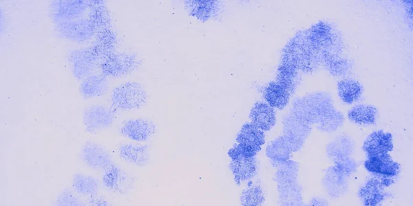 Μπλε Δημιουργική Ισοπαλία Υφαντική Ακουαρέλα Βρώμικος Αρτ Αφηρημένη Υδατογραφία Μελάνι — Φωτογραφία Αρχείου
