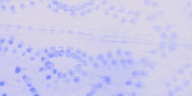 Beyaz kravat boyası Grunge. Aquarelle dokusu. Kirli Sanat Ressamlığı. Parlak suluboya boya. Dekoratif Grafik Boyalı. Fırçalanmış İpek. Beyaz Fırçalı Malzeme. Grafik Boyalı.