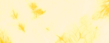 Hafif kravat boyası Grunge. Aquarelle Boya Fırçası. Kirli Arkaplan. Yaz Kova Dokuları. Beyaz Modern Boyalı. Citrus Fırçalanmış İpek. Parlak Yağ Mürekkebi. Sarı Modern Boyalı.