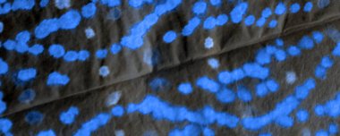 Koyu kravat boyalı Grunge. Kova boyası. Kirli Arkaplan. Siyah Kova Fırçası. Kara Grafik Boyalı. Beyaz Fırçalı Doku. Fırçalanmış malzeme. Siyah Graffiti Biçimi.