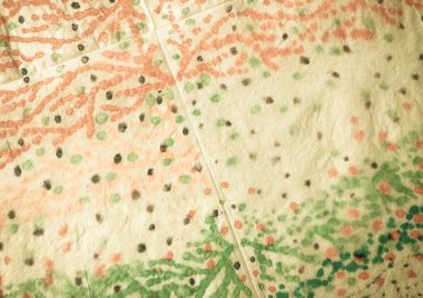 Pastel kravat boyası Grunge. Kova boyası. Kirli Sanatlar Pankartı. Yeşil Kova Boyası. Antik Geleneksel Boyalı. Yağlı fırça. Klasik Fırçalı Doku. Geleneksel Yeşil Boyalı.