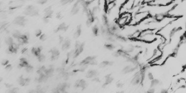 Siyah Lekeli Parşömen. Soyut Kova 'yı giymişti. Görünmez Kirli Suluboya. Gri Modern Grunge. Beyaz pürüzlü mürekkep boyası. Soluk Antika Kağıt. Sanatsal Canva. Hasarlı Bağlantı Boya Sanatı.