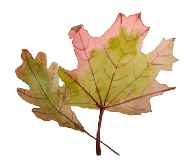 Soyut Suluboya yaprakları, çiçek sanat vektörü 