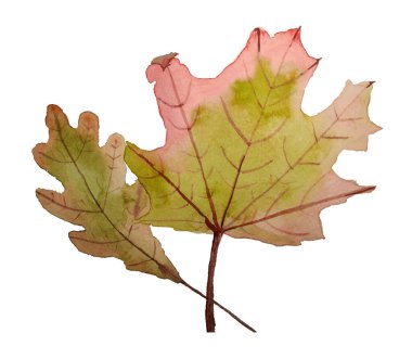 Soyut Suluboya yaprakları, çiçek sanat vektörü 