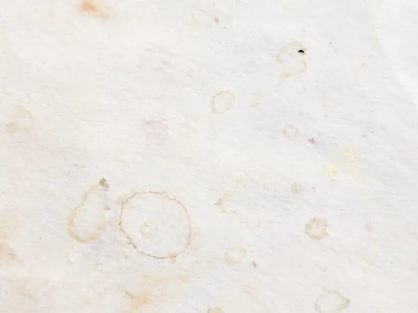 Parchemin Beige Papier Bronzé Crème Light Tan Dirt Sepia Old — Image vectorielle