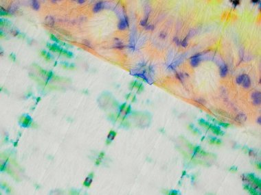 Mavi Çiçek Çizgisi Şablonu. Kırmızı Kravat Boyalı Etnik Parmak izi. Gri Etnik İkat dokusu. Çok renkli çizgili su bandı. Boyalı Çizgi Soyut Suluboya. Kravat Boyası Tasarımı Etnik Dip Deseni.