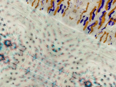 Gri Kravatlı Çiçek Yaması. Kırmızı Çiçek İkat dokusu. Boyalı Çizgi Gradyan Patchwork. Yamalı Çizgili Çarşaf Tasarımı. Mavi Etnik Çizgi Suluboya Şablonu. Etnik Dip Deseni. Bağla Grunge Dokusunu