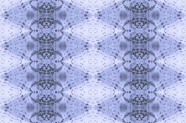 Soyut lekeyi yıka. Mürekkep Yaratıcı Kusursuz Leke. Eski desenli Etnik Elsiz Süngerleri Yıka. Mürekkep Rengi ŞekliName Grunge Etkisini Yıka. Sıvı Geometrik Kumaş Sıçraması. Sanat Retro Renkli Kravat Ölü Bırakma.