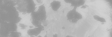 Gri Çimento Shibori Blot. Gri Soyut İşaret. Mürekkep Soyut Fırçası. Tiedye Suluboya Su Sıçratma. Gri suluboya Grunge. Gri Çimento Karanlık Tasarım. Koyu Mürekkep Döküm Dökümü Mürekkebi Soyut Kirli Dökülme.