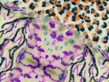 Mavi çizgili Ikat deseni. Tye Dip Doku. Boyalı Grunge desenli gri kravat boyalı kravat izi. Çoklu Renkli Çiçek Çamaşır Tasarımı. Boyalı Çizgi Gradyan Suluboya. Kırmızı Etnik Çizgi Suluboya DokusuName.