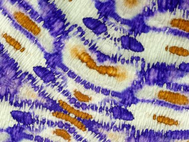 Kravat boyası Grunge dokusu. Çok renkli çizgili su tasarımı. Shibori Dip Deseni. Mavi çizgili suluboya deseni. Boyalı Çizgi Soyut Suluboya. Gri Çizgili İkat dokusu. Kırmızı Kravat Boyalı Bağlı Şerit.