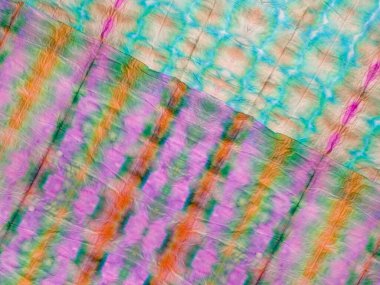 Mavi Çiçek İkat dokusu. Çoklu Renkli Çizgili Mezar Efekti. Boyalı Hat Doğu Suluboya. Kırmızı kravat desenli çiçek deseni. Etnik Dip dokusu. Gri Etnik Çizgi Suluboya Şablonu. Bağla Grunge Deseni