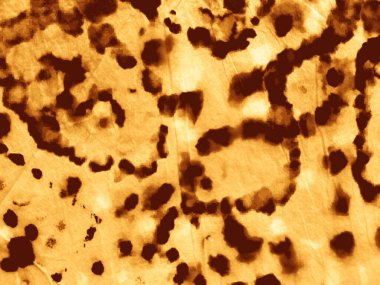 Çizgili İnek Doğal Tuvali. Sarı Felç Sıkıntılı Şekil. Tan Stripe Şablon Boyası. Rustic Tan Suluboya Tuval. Bronzlaştırıcı Suluboya Doku Eski Darbe Vintage Dot. Eski Rustik Parşömen dokusu.