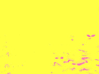 Mor Asgari Özgeçmiş. Güneşli Poster. Sıcak Altın Tasarım. Pembe Poster. Mor Katı Doku. Sarı Düz Desen. Mor Soyut Duvar. Sarı Parlak Gradyan. Limon Düzeni. Turuncu Albüm. Düz Bg