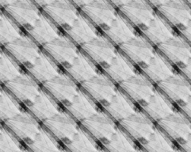 Siyah Düzen. Beyaz Modern Tuval. Gri duvar kağıdı. Siyah Kumaş Tasarımı. İğrenç Gradyatör Graffiti. Gri Retro Gürültü. Kusursuz Boyalı Tekstil. Retro boyalı sprey. Beyaz Eski Sanat. Beyaz Duvar Kağıdı