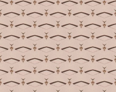 Kahverengi kalem dokusu. Coğrafi Tasarım Modeli. Grafik Yazdırma. Geometrik Kağıt Çizimi. El şablonu. Dalgalı Şablon. Basit bir çizgi boyası. Renkli Zarif Fırça. Rhombus çizildi. Renkli Geometrik Zigzag