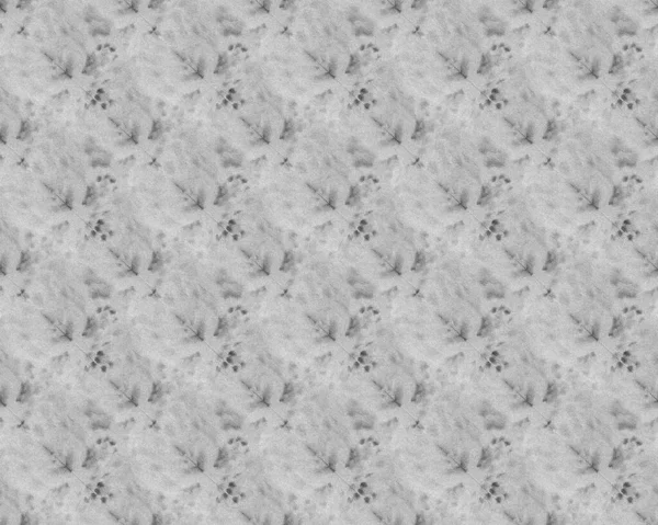 Szürke Textúra Fehér Akvarell Fekete Grungy Csobbanás Fekete Festett Vonal — Stock Fotó