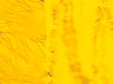 Mor Düz Desen. Sarı Katı Doku. Mor Fırçalı Arkaplan. Sıcak Duvar Tasarımı. Sarı Altın Gün Işığı. Güneşli Güneş Portakal Yazı. Mango çarşafı. Sarı Soyut Altın. Düz Poster. Ochre Düzeni.