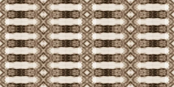 Sepia Batik Vecchia Sporcizia Boema Spazzola Rustica Beige Stampa Tribale — Foto Stock
