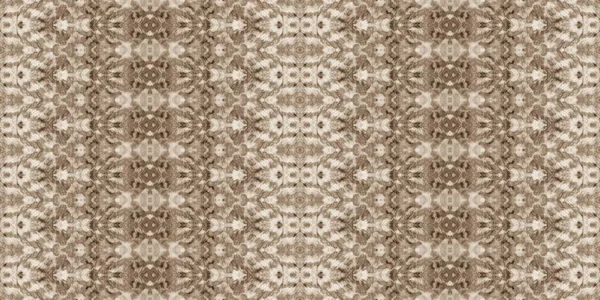 Retro Geometrik Sprey Bej Rengi Dikişsiz Batik Sepia Print Kirli — Stok fotoğraf