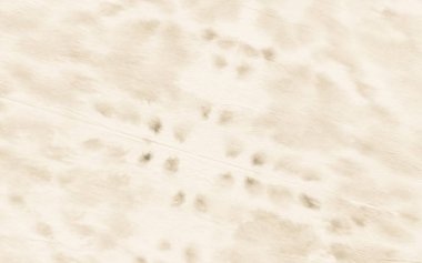 Bej Parşömen. Sepia Eski Kağıt. Sepia Tan Papyrus. Krem Grunge Antika dokusu. Antika Krem Kağıt. Soluk Yanık Yapısı. Bronzlaşma dokusu parşömeni. Bej Meydanı Eski Kağıt Boşluğu. Eski Sanatı Geri Al