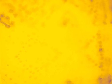 Sarı Sıcak Kalıp. Sarı Soyut Güneş. Katı Bg Sarı Dinamik Arkaplan. Mango çarşafı. Lemon Summer. Mor Güneşli Doku. Düz Altın Poster. Turuncu Tasarım. Düz Düzen. Mor Altın Gün Işığı.