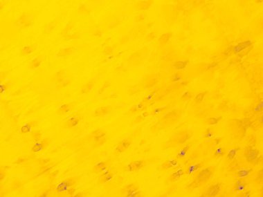 Sarı Düz Doku. Sıcak Güneş Posteri. Asit kağıdı. Mor Asgari Özgeçmiş. Limon Düzeni. Mor Güneşli Doku. Sarı Basit Gradyan. Mor Soyut Altın. Sağlam Duvar Düzlüğü Tasarımı. Turuncu Poster.