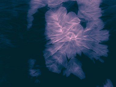 Pembe mürekkep. Pembe Modern Grunge. Dark Canvas Suluboya. Koyu renkli, zarif bir fon. Soyut Desen. Pembe Kirli Boya. Donanma tuvali geçmişi. Mavi Deniz Mürekkebi. Modern Tasarım Işığı. Mavi Gece Spreyi.