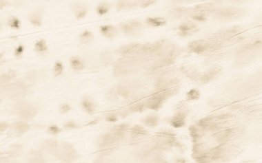 Bej Eski Kağıt. Krem Tan Kağıt. Soluk Yanık Parşömeni. Sepia Eski Doku. Eski Arkaplan Gazetesi. Sepia Tarihi Parşömeni. Kremalı Grungy Parşömen Boşluğu. Bej Grunge Vintage Doku. Düz Tan Çamuru