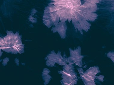 Mavi Karanlık Sanat. Modern Tasarım Işığı. Donanma Zarif Arkaplanı. Pembe Doğa Sıçraması. Koyu renk tuval arka plan. Zarif bir doku. Mavi Denim Bright. Donanma Boya Fırçası. Pembe Kirli Boya. Pembe Koyu Mürekkep.