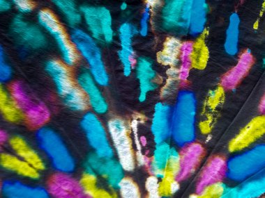 Boyalı Hat Soyut Suluboya. Çoklu Renkli Çizgili Mezar Efekti. Kravat Boyası Tasarım Çizgili Suluboya Doku. Shibori Dip Deseni. Siyah Kravatlı Çizgili Parmak izi. Mavi Çizgili Ikat Deseni.