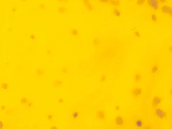 플래트 노랗게 빛나는 오렌지 다이내믹 그라운드 포스터 라우트 황금빛 선샤인 — 스톡 사진