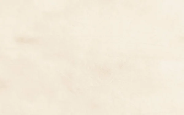 Seppia Parchment Carta Beige Abbronzante Crema Rustica Texture Antica Uno — Foto Stock