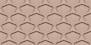 Renkli coğrafi doku. Coğrafi çizim kalıbı. Kusursuz Kağıt Çizim. Grafik Yazdırma. Renkli Zarif Fırça. Yumuşak Geometri. Dalgalı Arkaplan. Basit bir çizgi boyası. Rhombus çizildi. Renksiz Zigzag