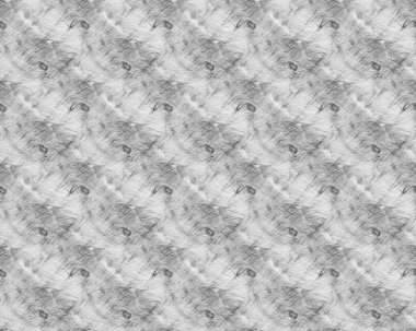 Beyaz doku. Gri Kirli Yazdırma. Siyah Modern Tekrarlama. Kumaş Gradyan Graffiti. Beyaz Pastel Vuruşu. Kirli Boyalı Renk. Gri Suluboya. Kusursuz Boya Yıkama Sanatı. Kara boyanmış boya. Siyah Suluboya