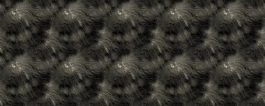 Siyah doku. Kirli Boyalı Sıçrama. Karanlık Kirli Sanat. Kusursuz sanat. Eski doku. Beyaz Islak Hat. Siyah Kirli Yazdırma. Pastel Buruşuk Graffiti. Beyaz kumaş sıçraması. Parlak Modern Su Sıçratma. Beyaz Boya Fırçası