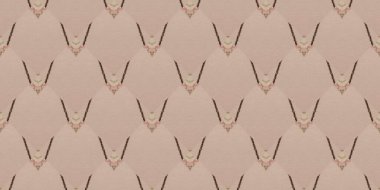 Yazdırma Çizimi. Coğrafi tasarım dokusu. Dalgalı Rhombus. Renkli Jeo Deseni. Hat Arkaplanı. Renkli Grafik Çizgisi. Basit Boya. Zorlu bir geçmişi var. Zarif Kağıt. Renkli Geometrik Zigzag