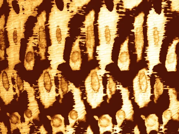 Κίτρινο Μαύρισμα Αντίκα Grunge Ρουστίκ Ταν Νερομπογιές Παλιά Γραμμή Διακόσμηση — Φωτογραφία Αρχείου