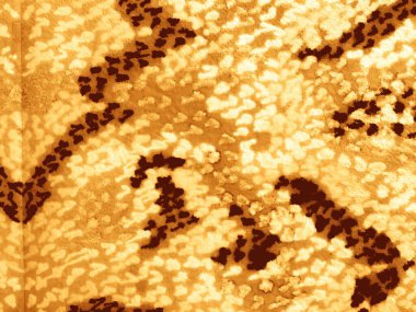 Çizgili İnek Doğal Tuvali. Bronzlaştırıcı yanık desenli sarı bronzlaştırıcı Sulu Grunge. Bronz şerit parşömen dokusu. Eski Rustik sıçrama boyası. Rustik Felç Sıkıntılı Leke. Eski Vuruş Vintage Beneği.