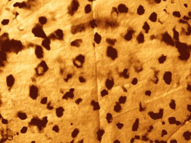 Stripe Tan Cowhide tuvali. Sarı Eski Suluboya. Eski Rustik Sıçrama Şekli. Bronz şerit parşömen dokusu. Rustik Felç Sıkıntılı Kağıt. Bronzlaşmış Hasarlı Dot. Eski Darbe Dekorasyon DokusuName