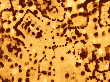 Sarı Deri Grunge. Çizgili Güneşli Sıkıntılı Şekil. Tan Rustic Leke Lekesi. Rustic Tan Suluboya Grunge. Old Light Vintage Spot. Eski Rustik Parşömen dokusu. Bronzlaşma Çizgisi Arkaplan DokusuName