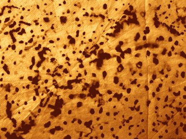 Stripe Old Vintage Grunge. Kırsal Hat Sorunlu Kağıt. Eski Sarı Parşömen dokusu. Bronz Kahverengi Vintage Spot. Tan Yellow Splatter Şekli. Bronzlaşmış arkaplan dokusu Sarı Eski Suluboya Grunge.