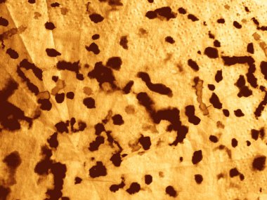 Çizgili Eski Doğal Grunge. Sarı Hat Sorunlu Kağıt. Koyu sarı parşömen dokusu. Eski Stripe Şablon Lekesi. Eski Sıcak Hasarlı Leke. Rustic Tan Suluboya Grunge. Eski Kahverengi Arkaplan Dokusu