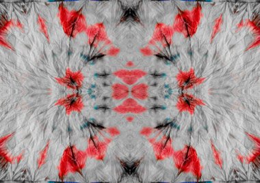 Kırmızı Yaratıcı Kusursuz Fırça. Kravat boyası tuval. Gri Soyut İşaret. Kırmızı Çizgili Yama. Art Multi Renkli Kravatlı Ölü Blot. İnce Geometrik Çizim Deseni. Boyalı El Soyut Tasarımı. Mavi Kırmızı Doku.